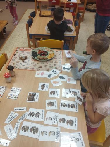 IMG 20240930 072842